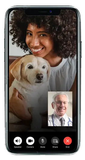 Pet owner in Georgia connecting with a TelaVets online veterinarian