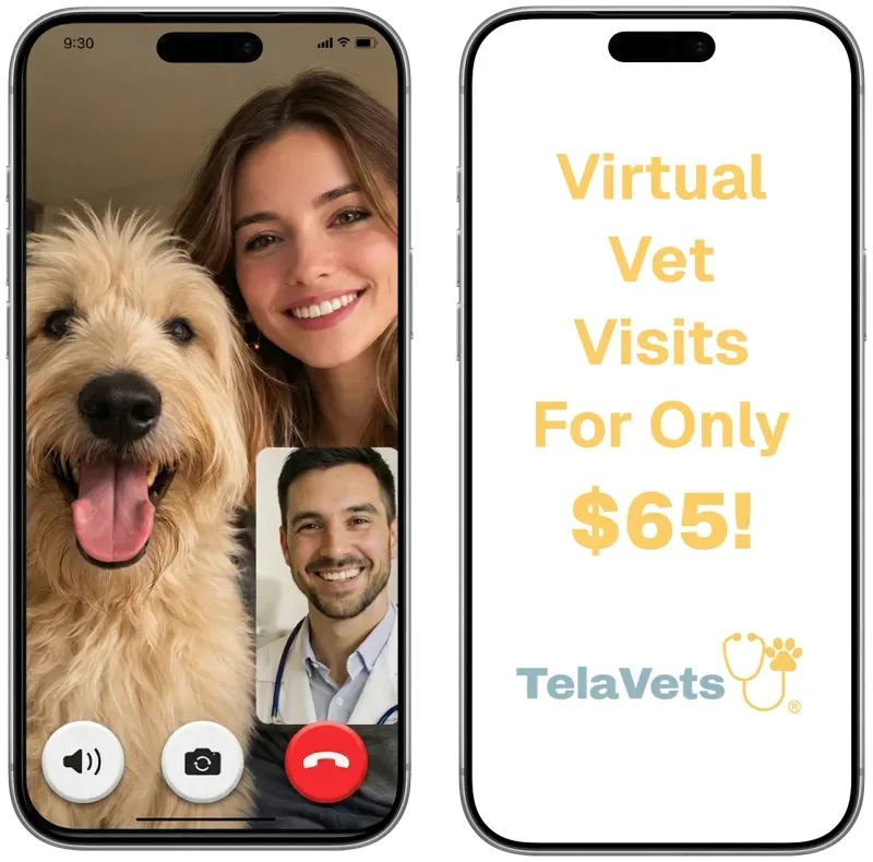Pet symptoms in Oklahoma City