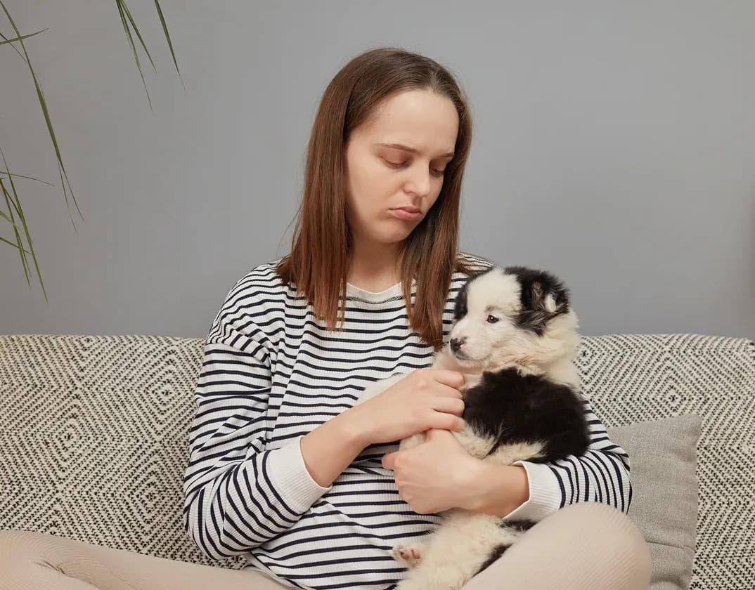 Dog itching — TelaVets online vet consultation