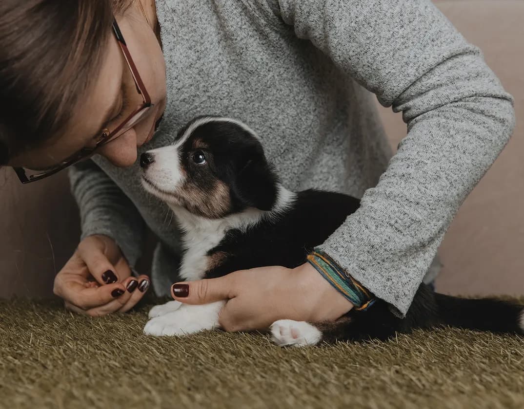 Parasite prevention plan discussed with an online veterinarian
