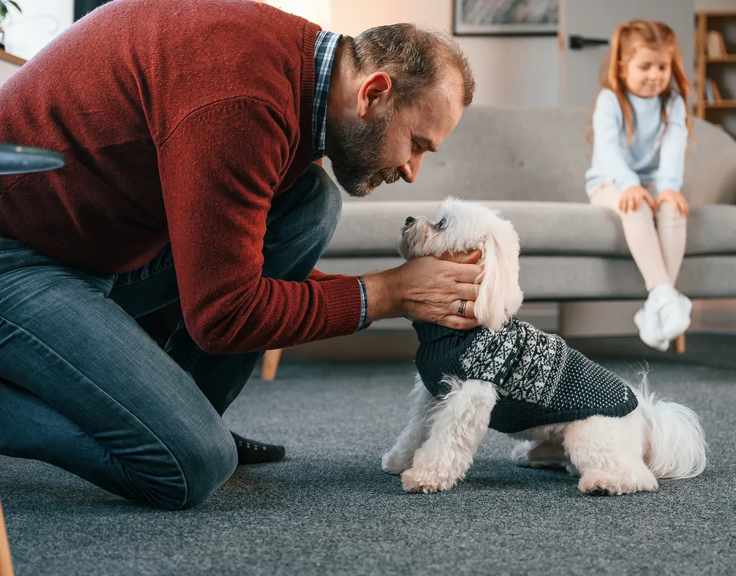 Owner and pet during a behavioral consultation online