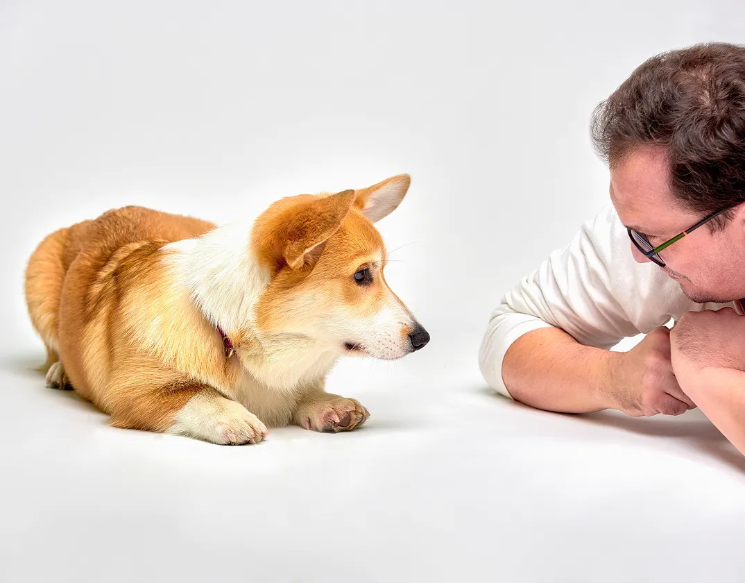 Healthy pet food and nutrition guidance from online veterinarians