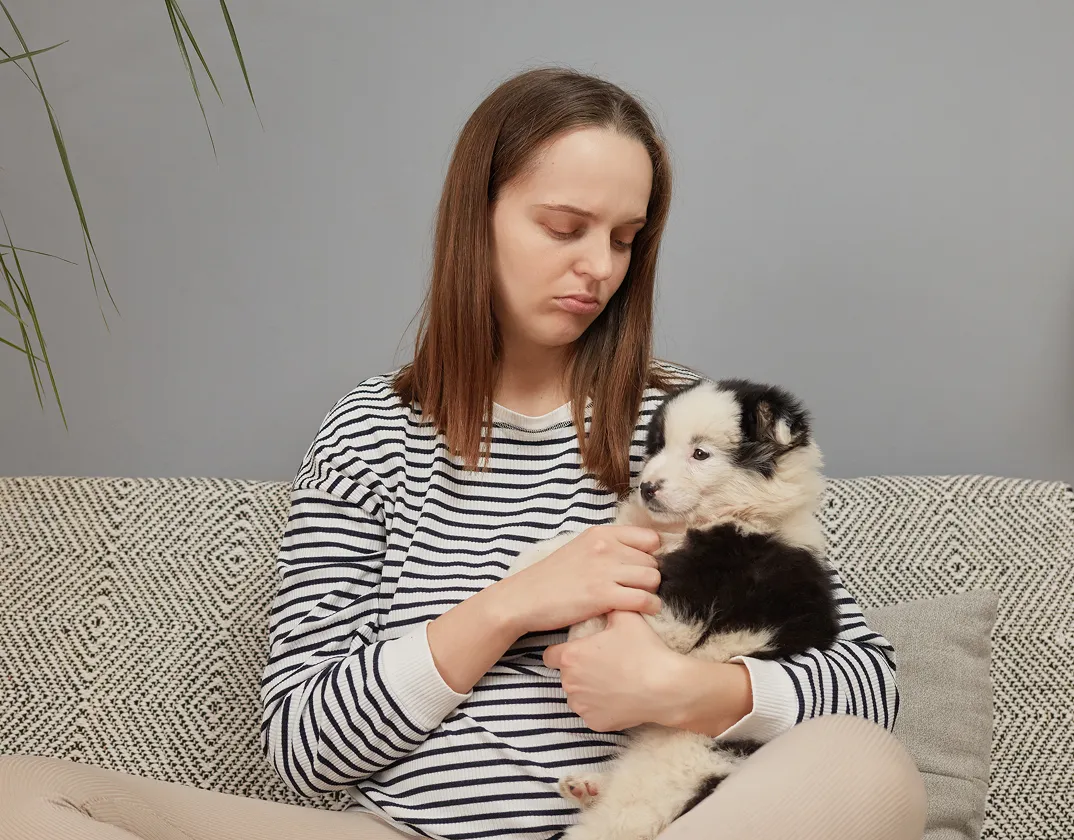 Itchy dog or cat; online itching and allergy care with TelaVets