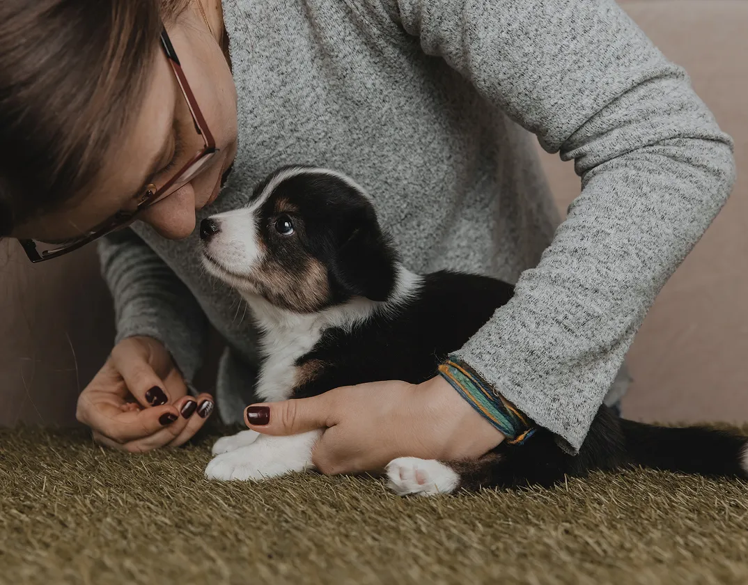 Parasite prevention plan discussed with an online veterinarian