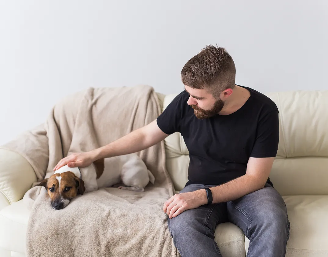 Skin problem on pet addressed in an online vet appointment