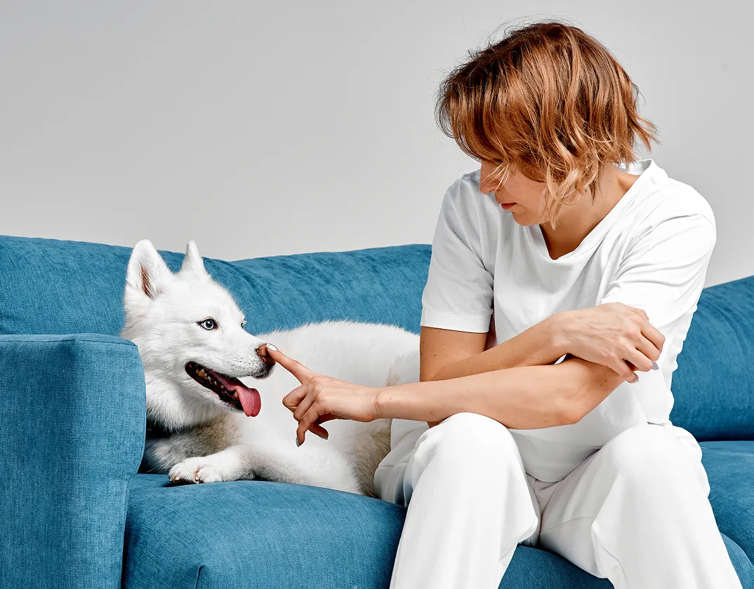 Pet dental and tooth health guidance from TelaVets online